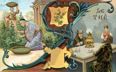 Čaj, 1899